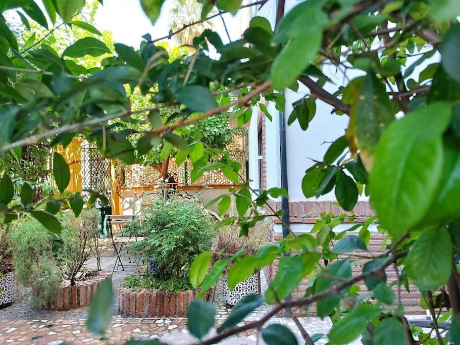 グラナダ Casa Limonero Con Parking Gratis Junto A Centro Historicoヴィラ エクステリア 写真