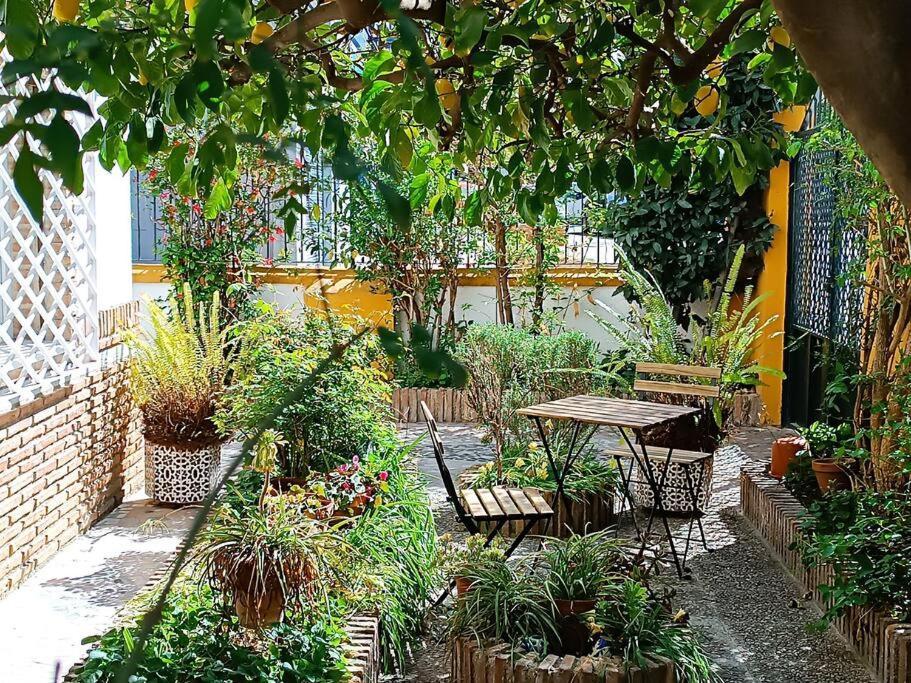 グラナダ Casa Limonero Con Parking Gratis Junto A Centro Historicoヴィラ エクステリア 写真
