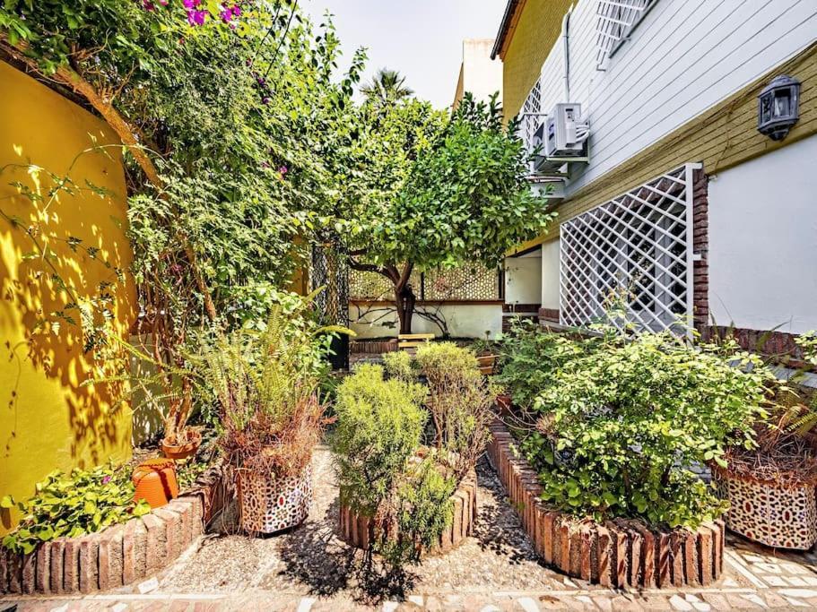 グラナダ Casa Limonero Con Parking Gratis Junto A Centro Historicoヴィラ エクステリア 写真