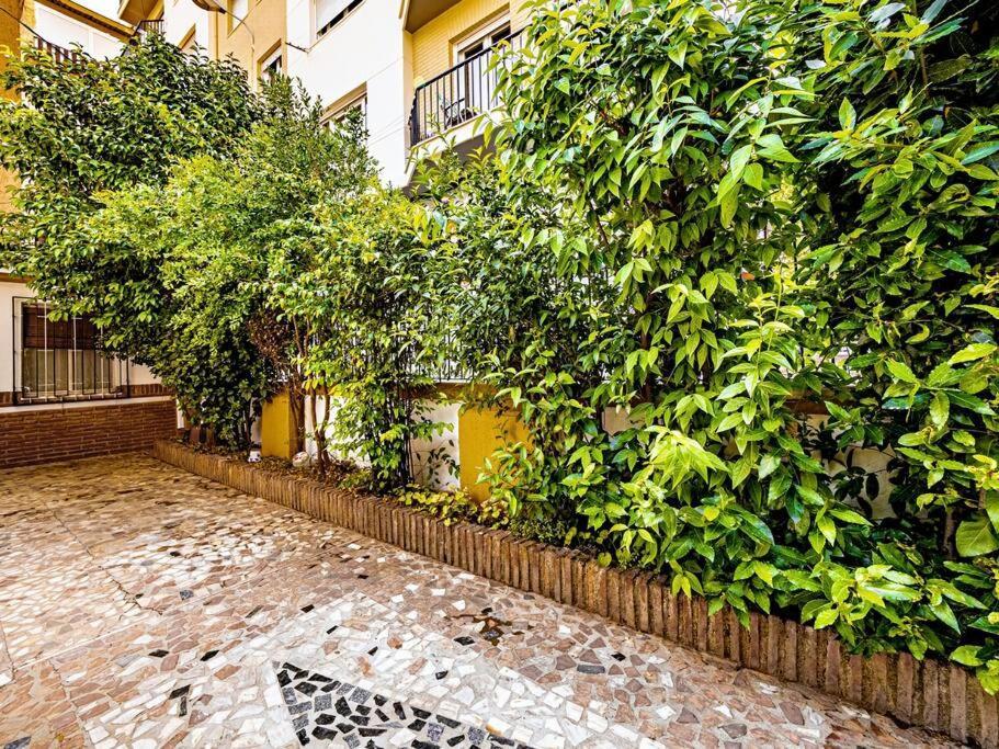 グラナダ Casa Limonero Con Parking Gratis Junto A Centro Historicoヴィラ エクステリア 写真