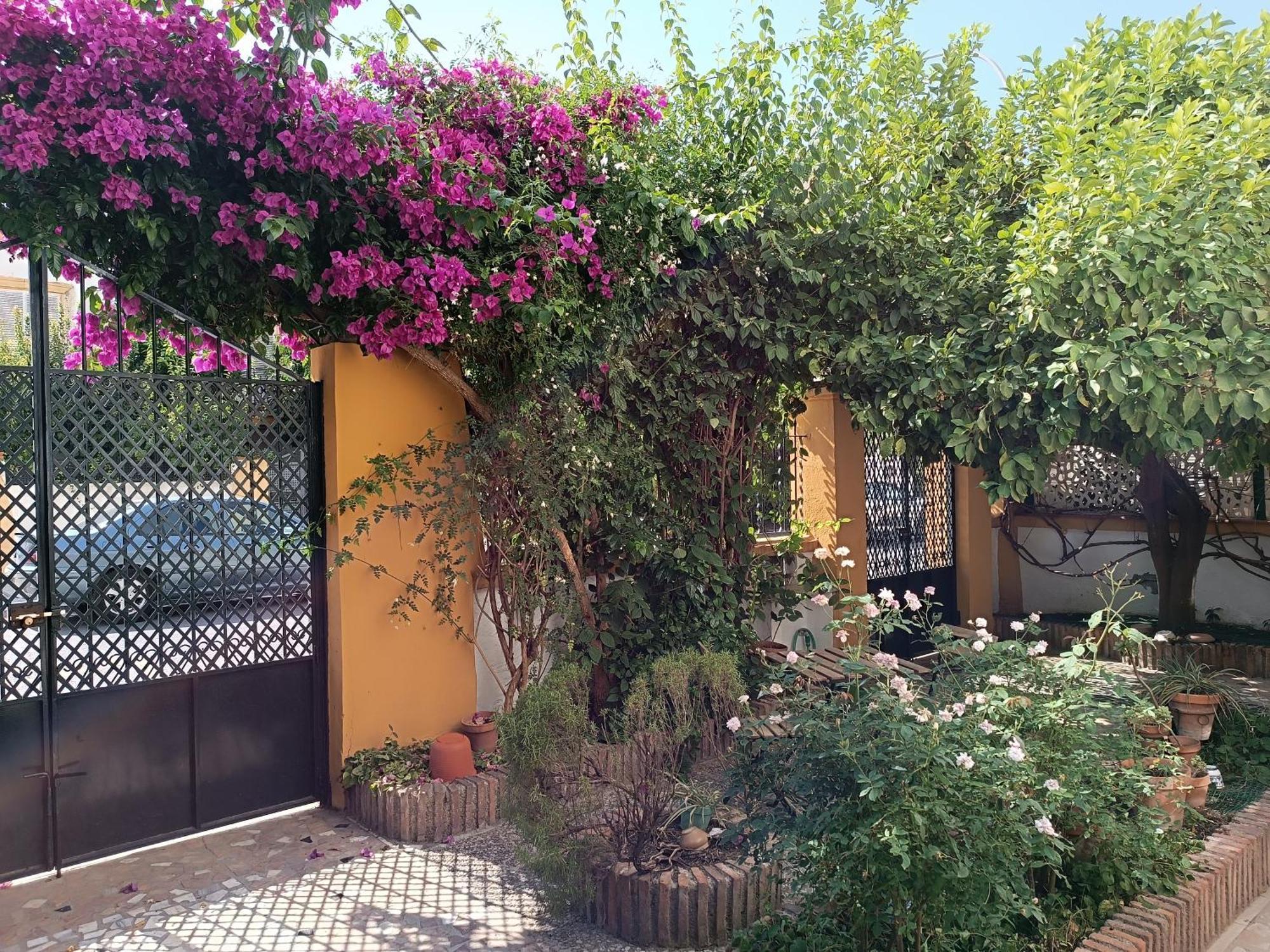 グラナダ Casa Limonero Con Parking Gratis Junto A Centro Historicoヴィラ エクステリア 写真